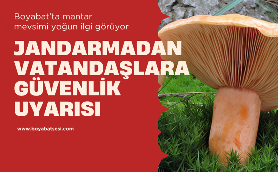 Boyabat'ta mantar toplayanlara uyarı : Tek başınıza ormana girmeyin