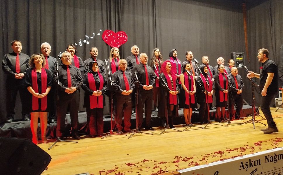 Boyabat'ta sanat müziği konseri verildi