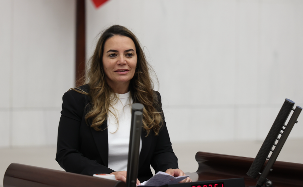 İYİ Parti Milletvekili Ayyüce Türkeş Boyabat'a geliyor