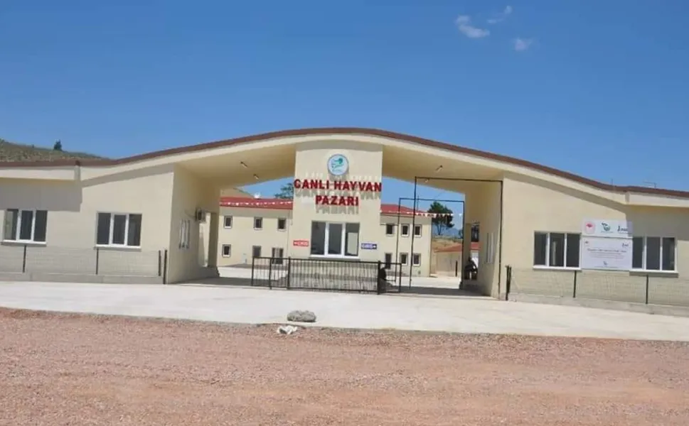 Boyabat Hayvan Pazarı Şap Hastalığı Tedbirleri Kapsamında Kapatıldı