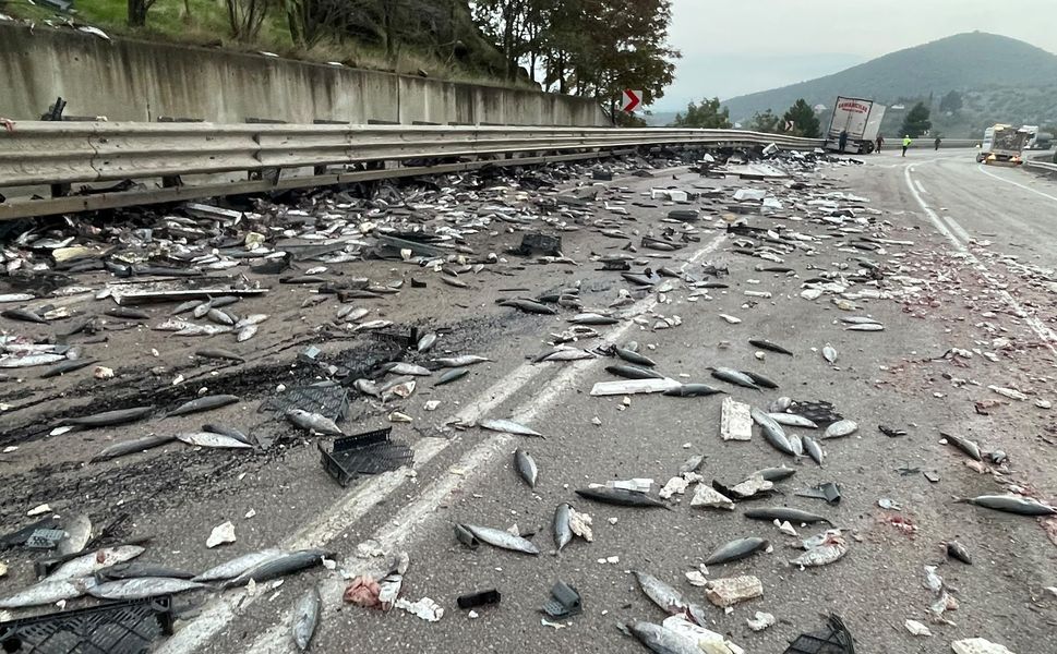 Boyabat’ta balık yüklü tır devrildi : 1 ölü !
